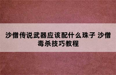 沙僧传说武器应该配什么珠子 沙僧毒杀技巧教程